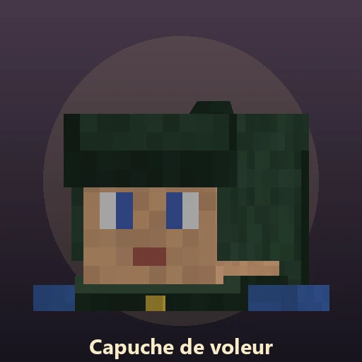 Capuche de voleur